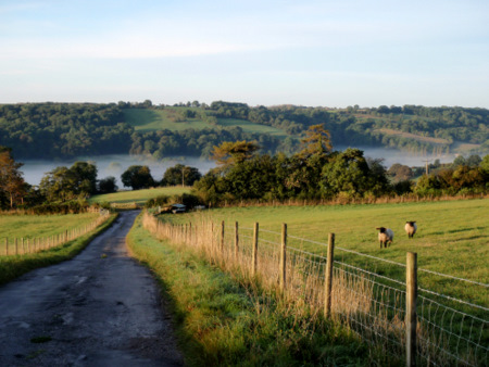 Nailey Farm